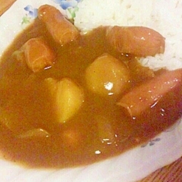 ウィンナーカレー